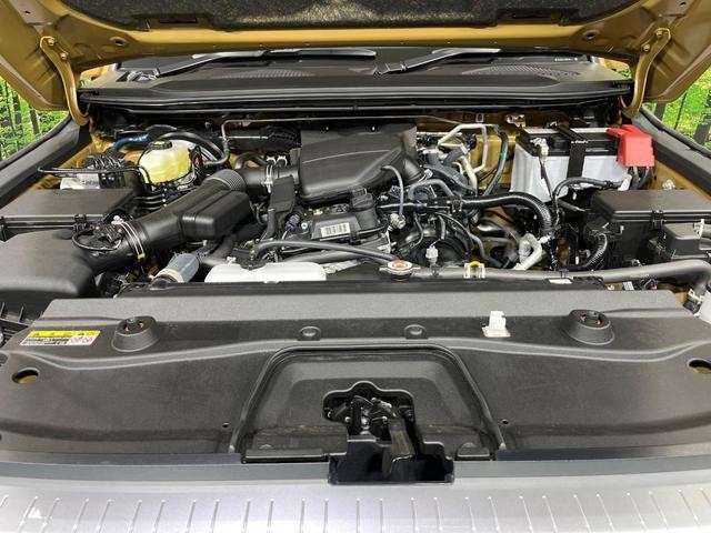 25283887_carP_l_20.jpg