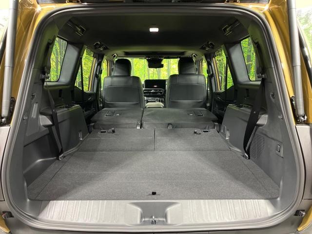 25283887_carP_l_6.jpg