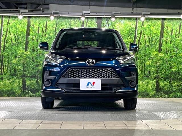 25694349_carP_l_8.jpg