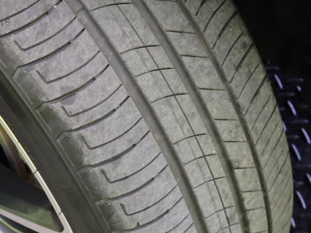 26183384_carP_l_8.jpg