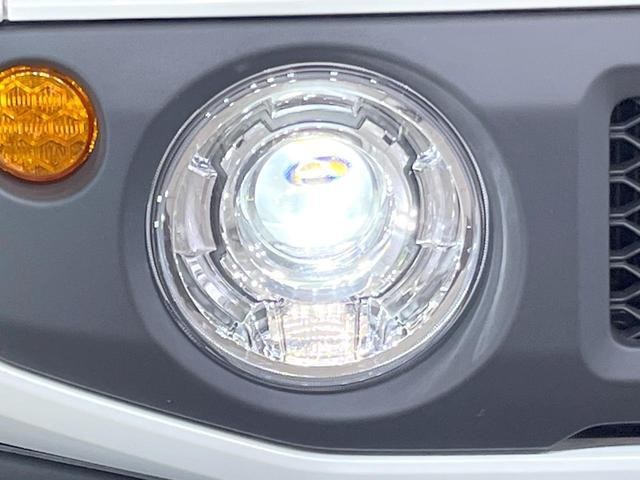 26426176_carP_l_6.jpg