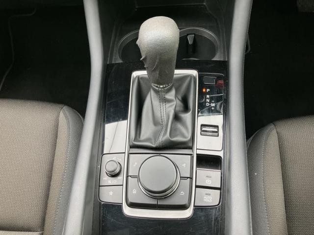 25041004_carP_l_12.jpg