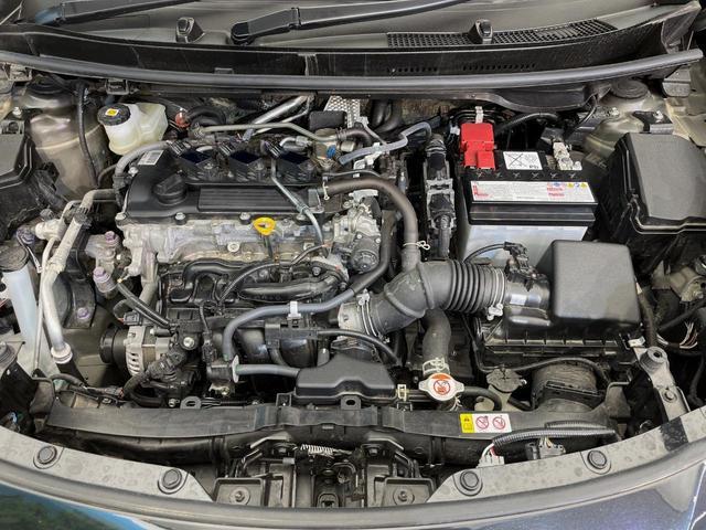 23416595_carP_l_18.jpg