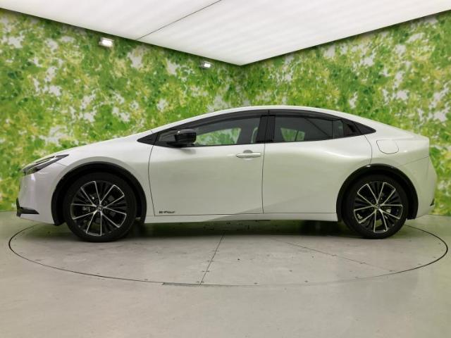 23325861_carP_l_3.jpg