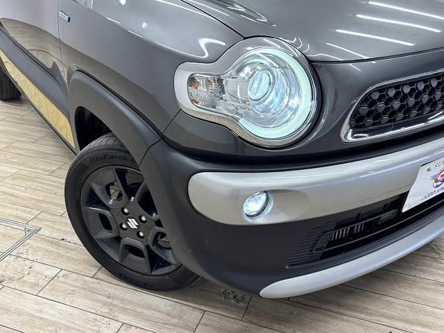 24802569_carP_l_20.jpg