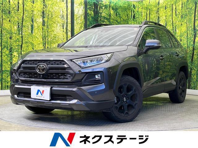 25009377_carP_l_1.jpg