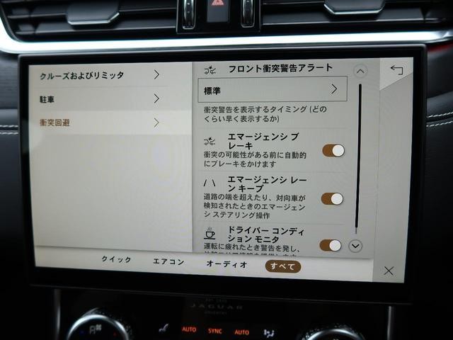 26379568_carP_l_17.jpg