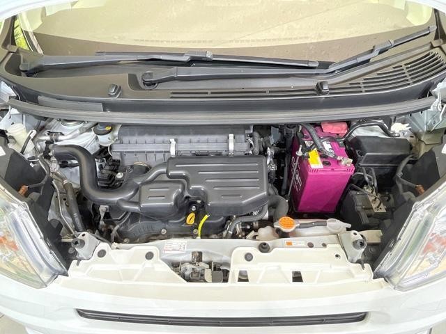 26426211_carP_l_16.jpg