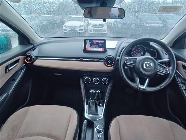 06.jpg