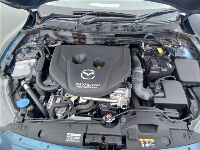 08.jpg