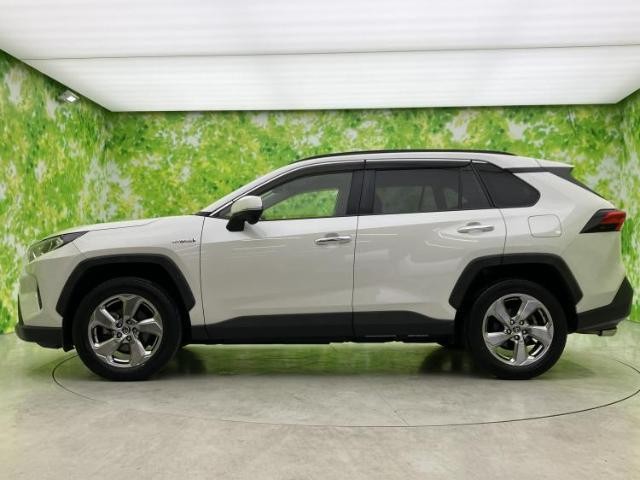 24813934_carP_l_3.jpg