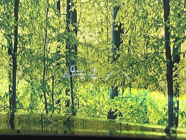 24767333_carP_l_13.jpg