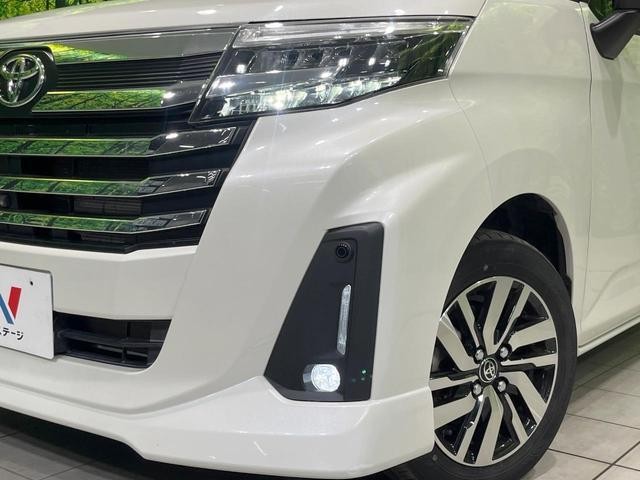 26023115_carP_l_6.jpg