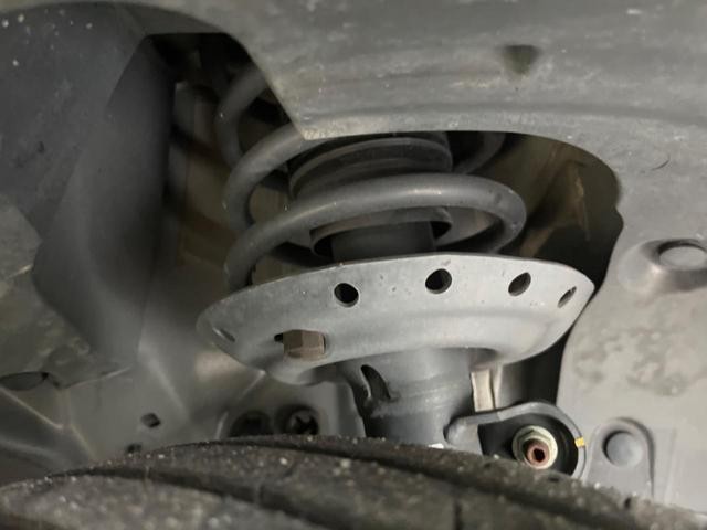 24808335_carP_l_18.jpg