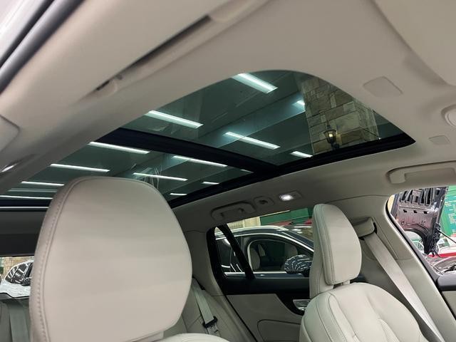 25462010_carP_l_4.jpg