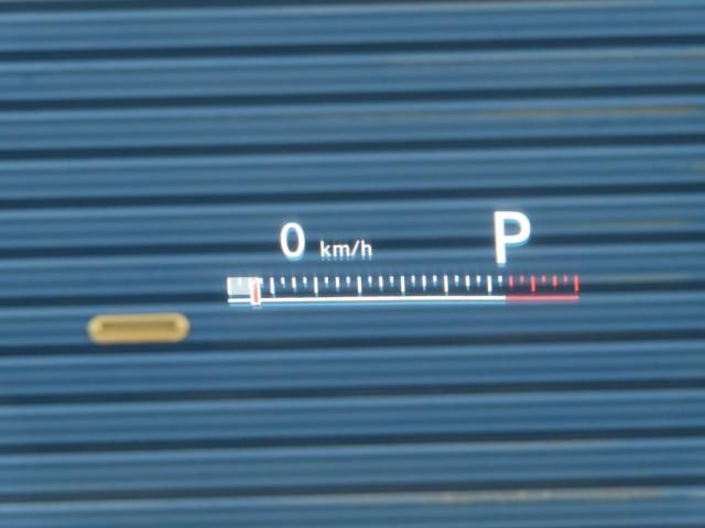 26189906_carP_l_19.jpg