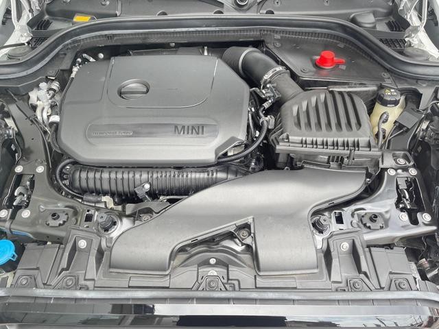 25445590_carP_l_18.jpg