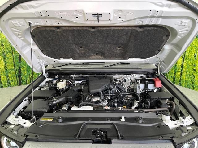 26426274_carP_l_18.jpg