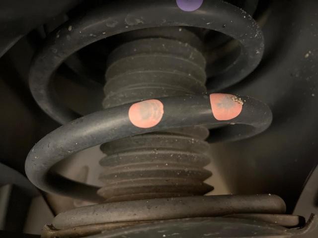 24828574_carP_l_20.jpg