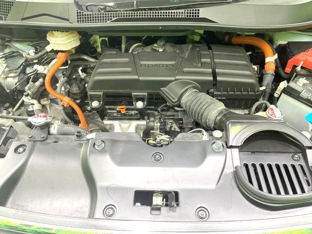 25446007_carP_l_18.jpg