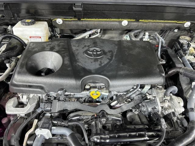 25344585_carP_l_18.jpg