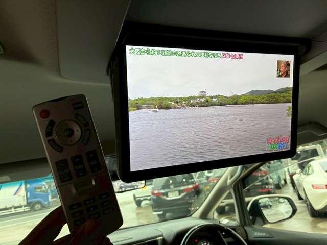 24076872_carP_l_10.jpg