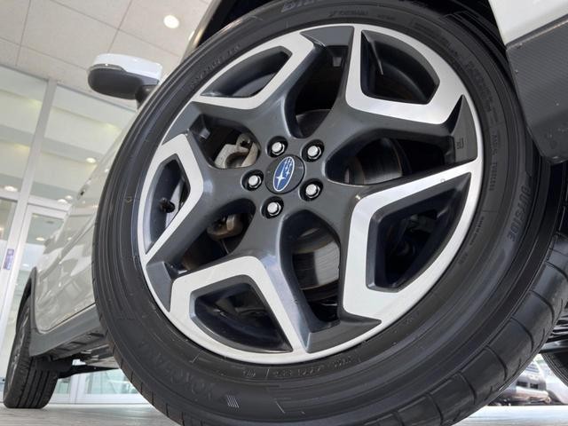 23965654_carP_l_7.jpg