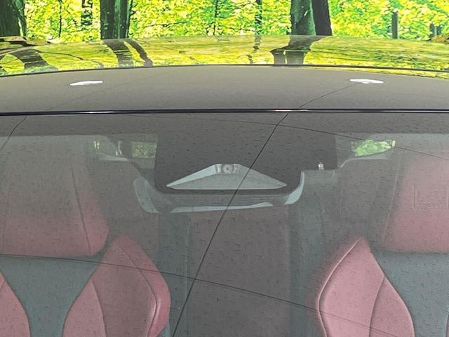 24582167_carP_l_4.jpg