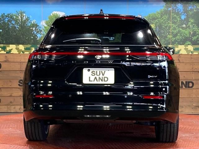 25591529_carP_l_9.jpg
