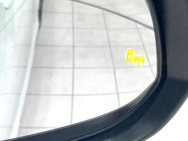 25446009_carP_l_14.jpg