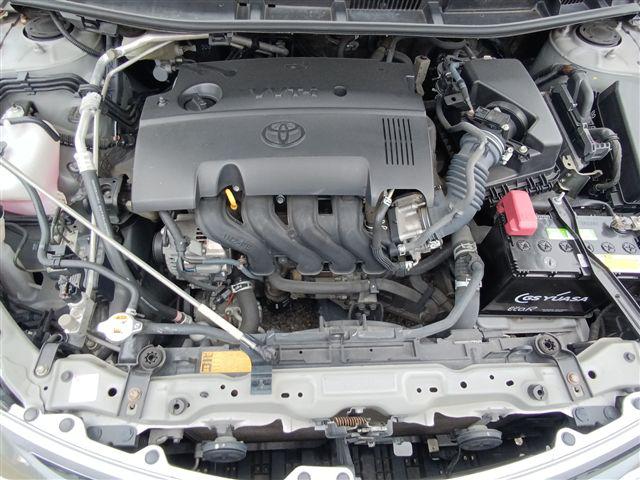 08.jpg