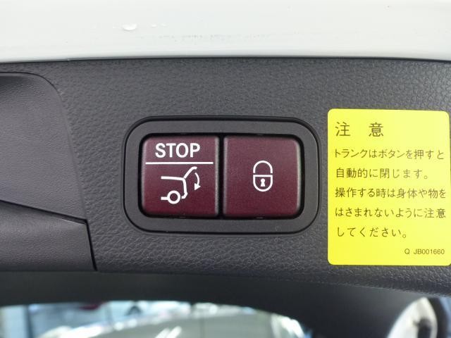 26688204_carP_l_16.jpg
