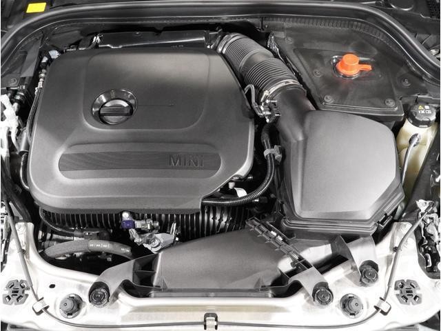 25709691_carP_l_17.jpg
