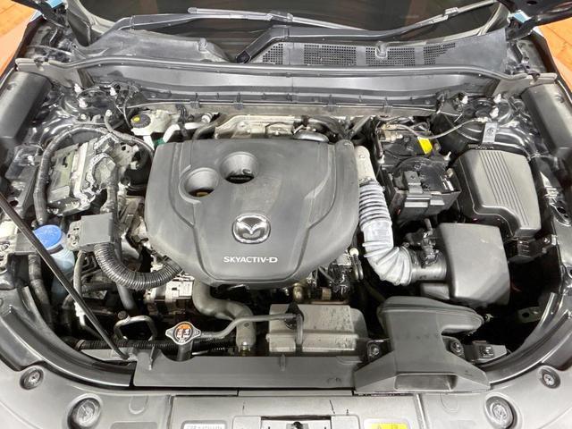24300471_carP_l_18.jpg
