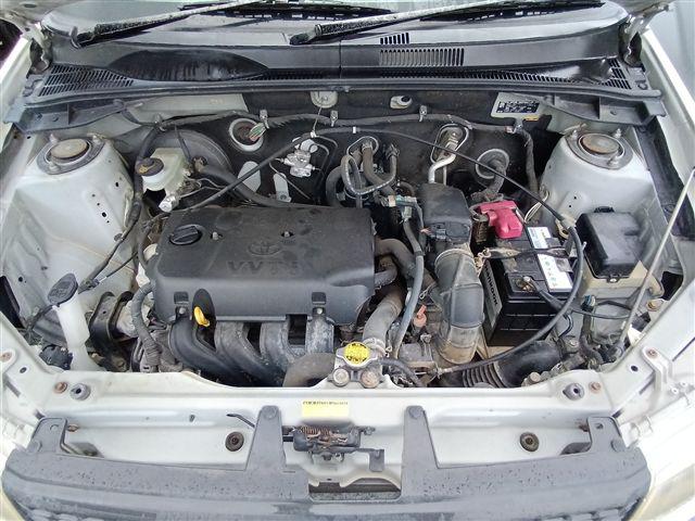 08.jpg
