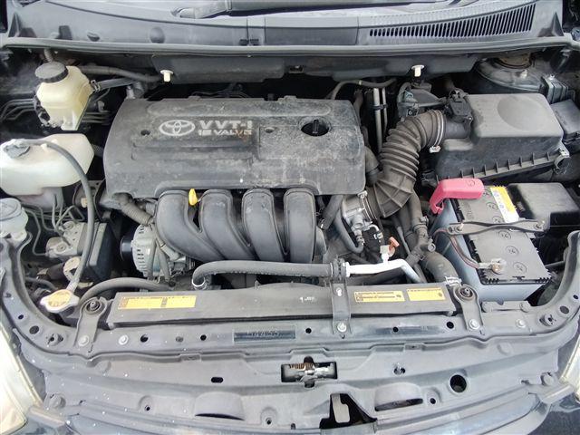 08.jpg
