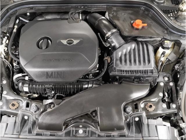 25709692_carP_l_14.jpg