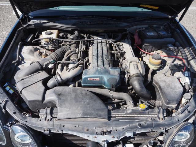 24335089_carP_l_11.jpg