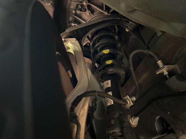 25344586_carP_l_20.jpg