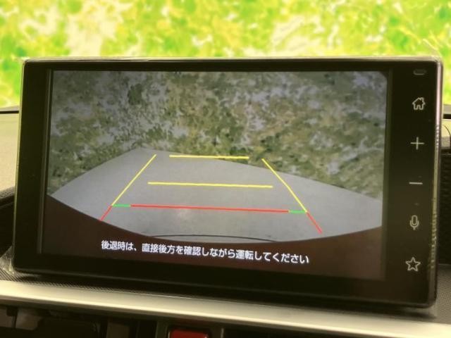 25041610_carP_l_2.jpg