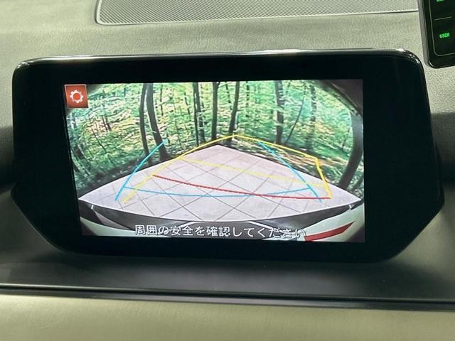 26794537_carP_l_13.jpg