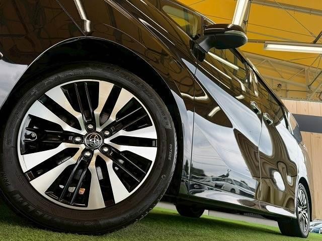 25009414_carP_l_18.jpg