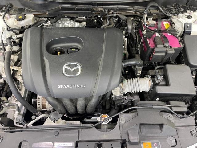 26126408_carP_l_18.jpg