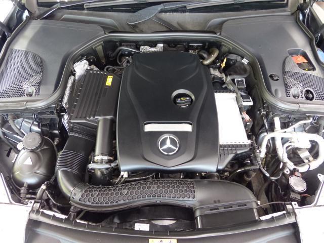 23884719_carP_l_20.jpg
