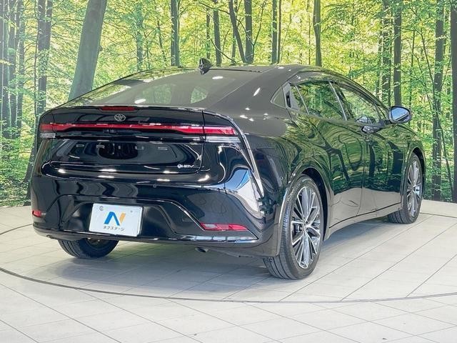 26688937_carP_l_12.jpg