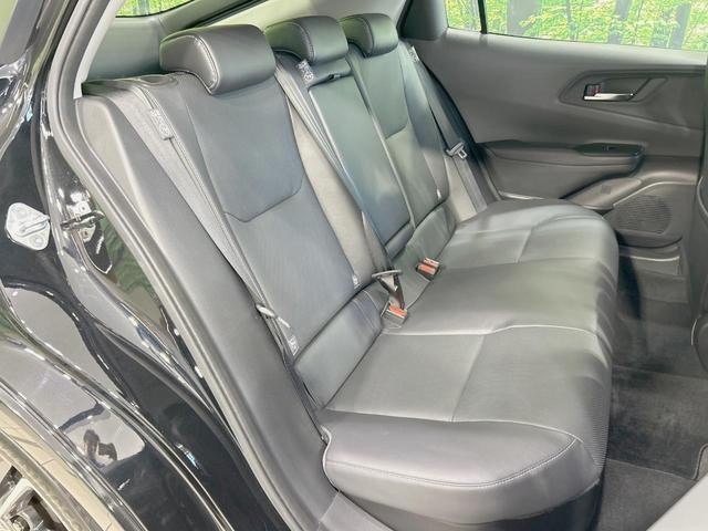 26688937_carP_l_19.jpg