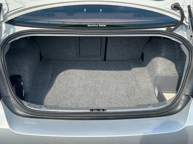 12852758_carP_l_7.jpg