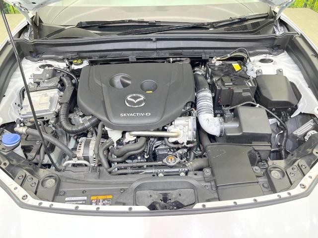 26379662_carP_l_16.jpg