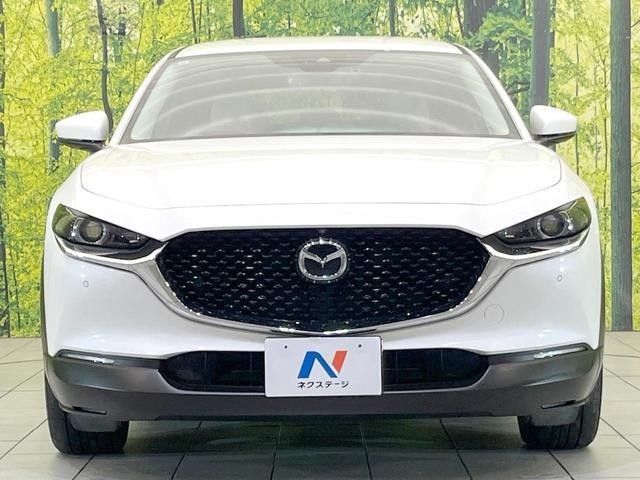 26379662_carP_l_8.jpg