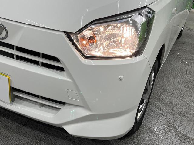 24051244_carP_l_7.jpg